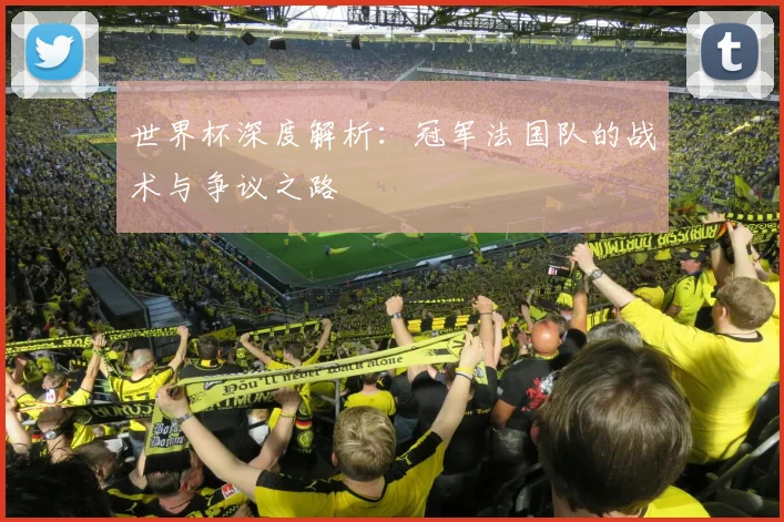世界杯深度解析：冠军法国队的战术与争议之路
