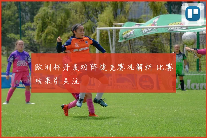 欧洲杯丹麦对阵捷克赛况解析 比赛结果引关注