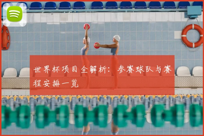 世界杯项目全解析：参赛球队与赛程安排一览