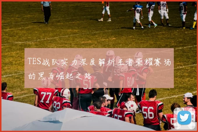 TES战队实力深度解析王者荣耀赛场的黑马崛起之路