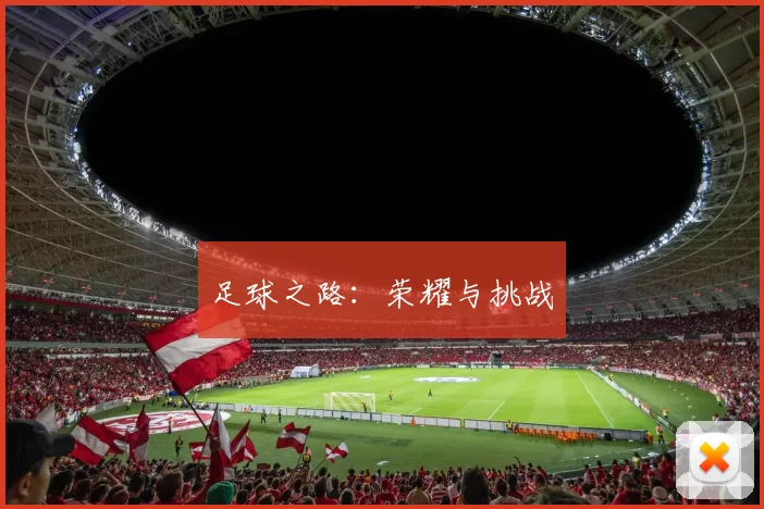 足球之路：荣耀与挑战