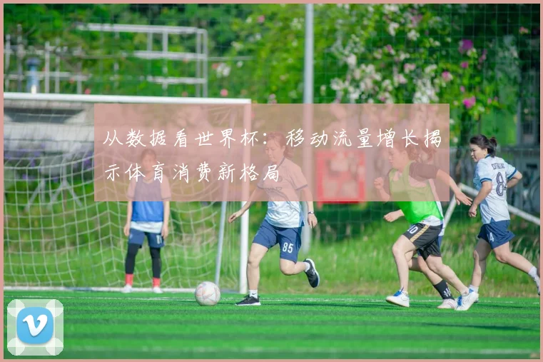 从数据看世界杯：移动流量增长揭示体育消费新格局
