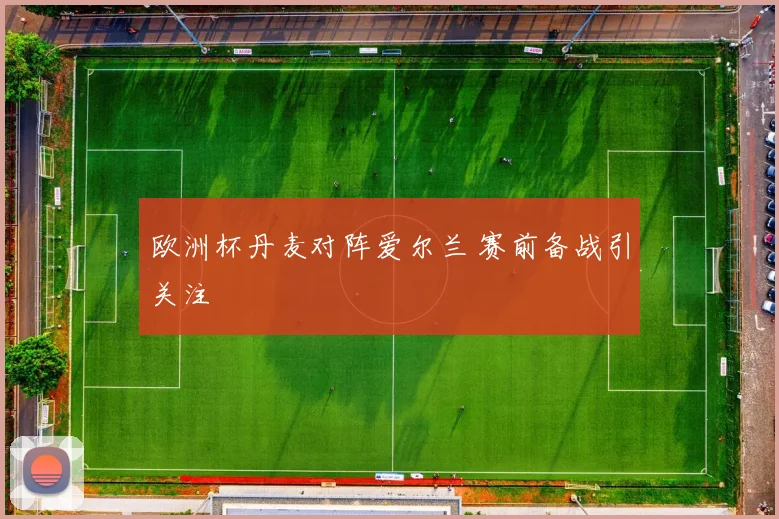 欧洲杯丹麦对阵爱尔兰 赛前备战引关注