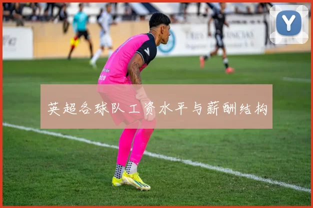 英超各球队工资水平与薪酬结构