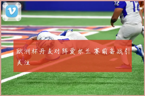 欧洲杯丹麦对阵爱尔兰 赛前备战引关注