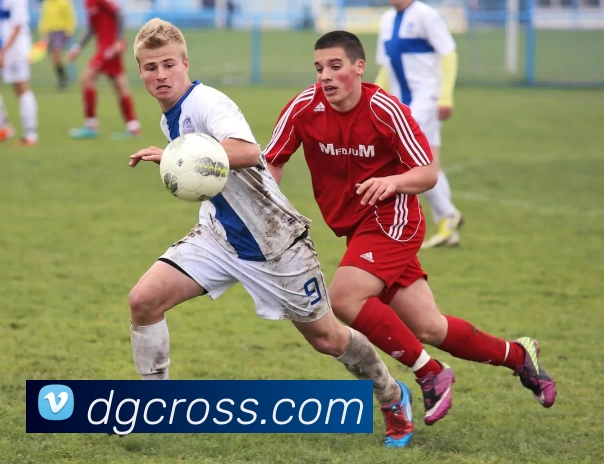 华体会手机网页版服务体系